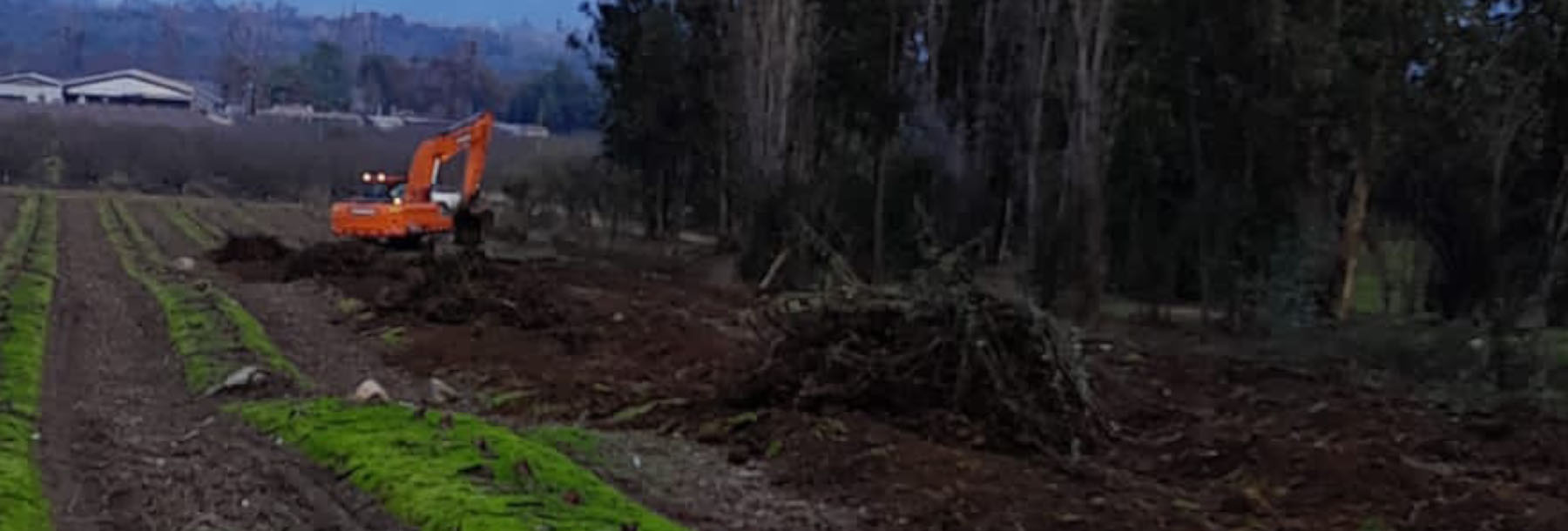 carrousel inicio_0000s_0002_Imagen de WhatsApp 2023-07-21 a las 09.08.53